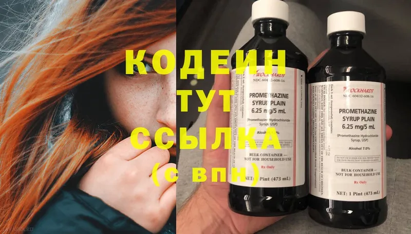 купить наркотики цена  Зея  Кодеиновый сироп Lean Purple Drank 